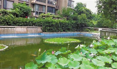 住宅小區(qū)景觀水體污染原因分析與防治對策探討